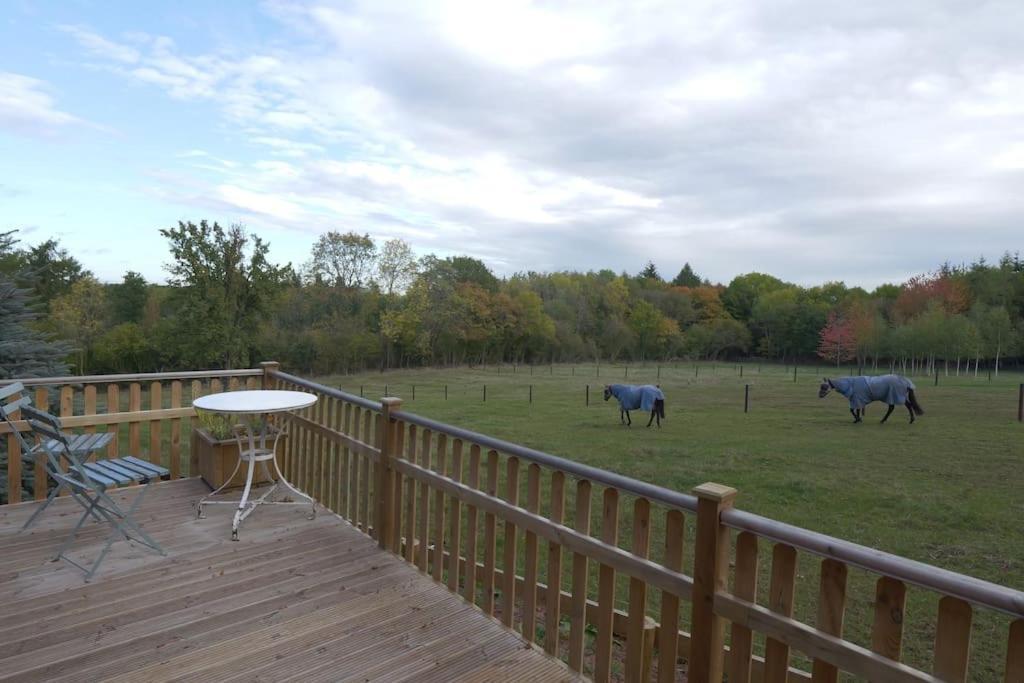 The Lodge At Meadow Hope Hereford Extérieur photo